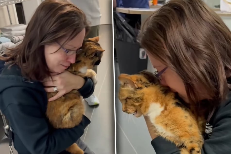 The cat's owner was moved to tears when she was able to embrace Katherine again after eight long years.