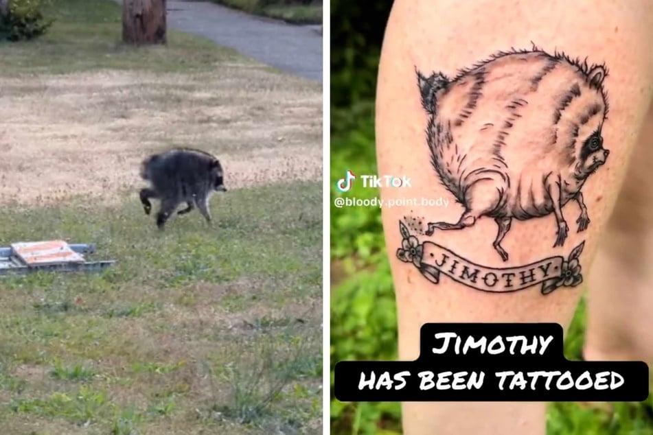 Jimothy, the beloved cryptid-adjacent raccoon, has launched a thousand creative projects, including tattoos and murals all over Seattle.