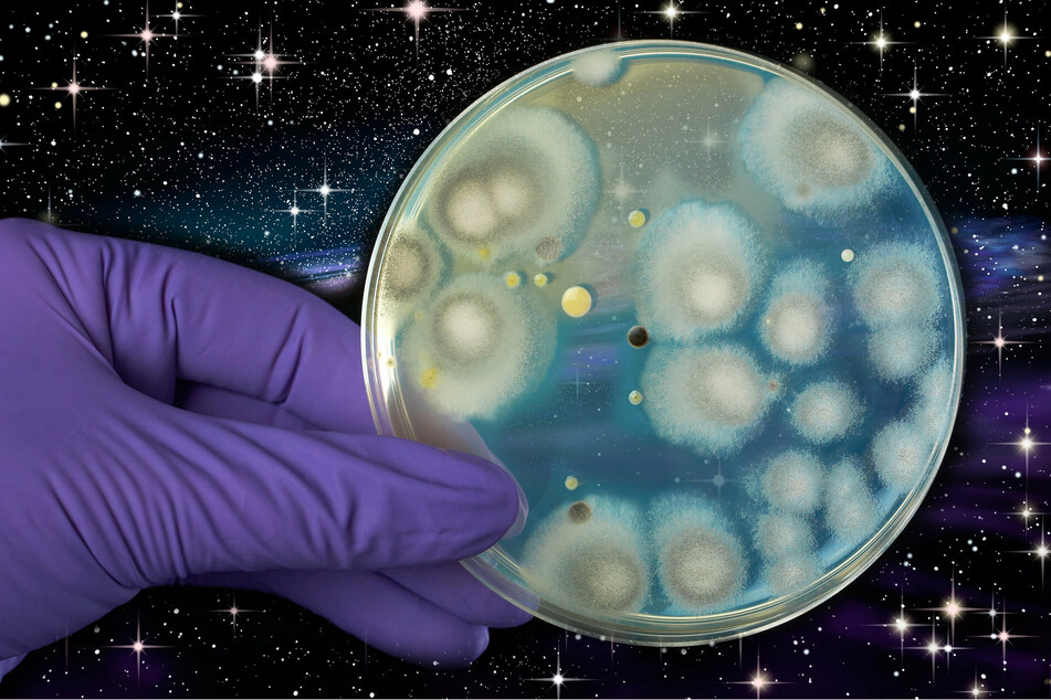Human muscle cells will be launched into space for research on aging