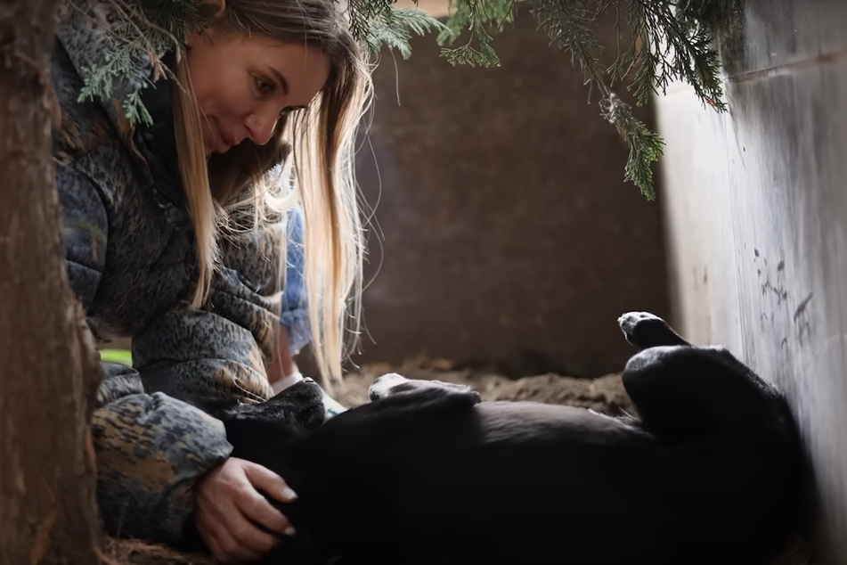 Olena's heart melts as Lyly the dog immediately lies down on her back and lets her stroke her belly.