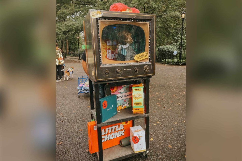 Bastian was selected as a costume contest finalist for his elaborate B. Barker costume, complete with an array of doggy products and mini prize wheel a la The Price is Right.