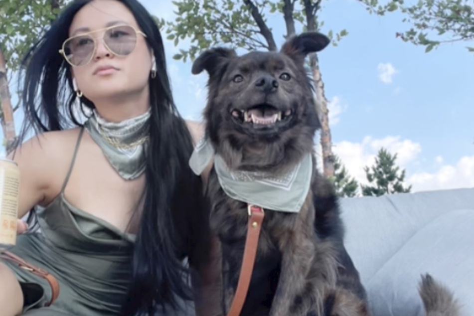 Cathy adopted her dog Wilee from a stranger. Five years later, the New Yorker made a startling discovery about her precious pooch!