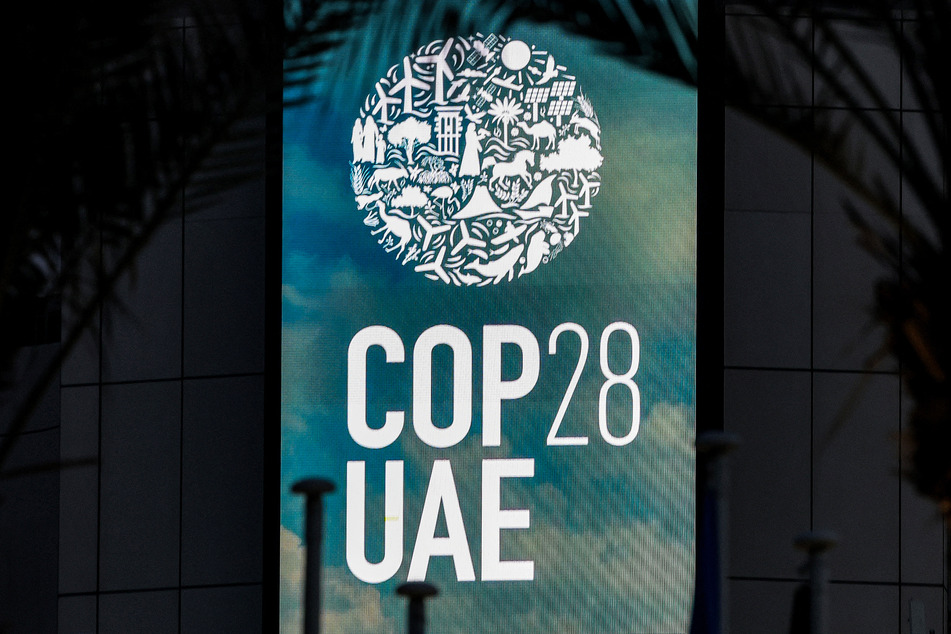 Despite some progress, the future of carbon credits remains unclear.