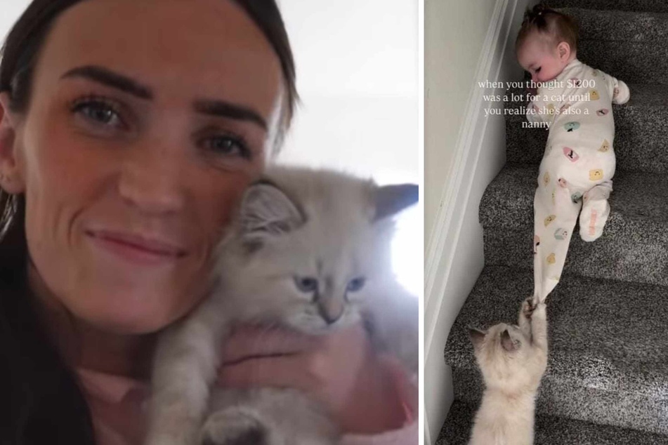 Kitten is adorably protective of her baby sister: "The nanny position has been filled"