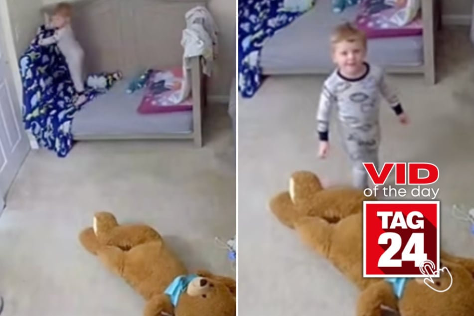 Viral Video of the Day for August 12, 2025: Toddler thinks dad's voice on baby monitor is a stranger!