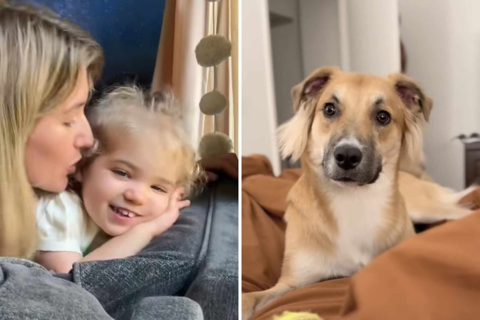 When Nora finally woke up, the dog seemed relieved and the animal started jumping around excitedly.