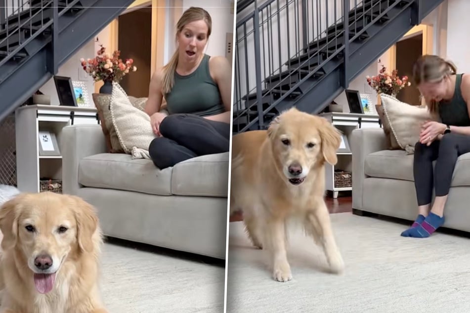 Dog owner is amazed at how her pup reacts to this music: "How do I tell my dog it's just a song?"