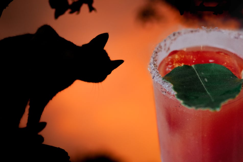 Halloween Bloody Mary recipe to spice up your spooky season party!