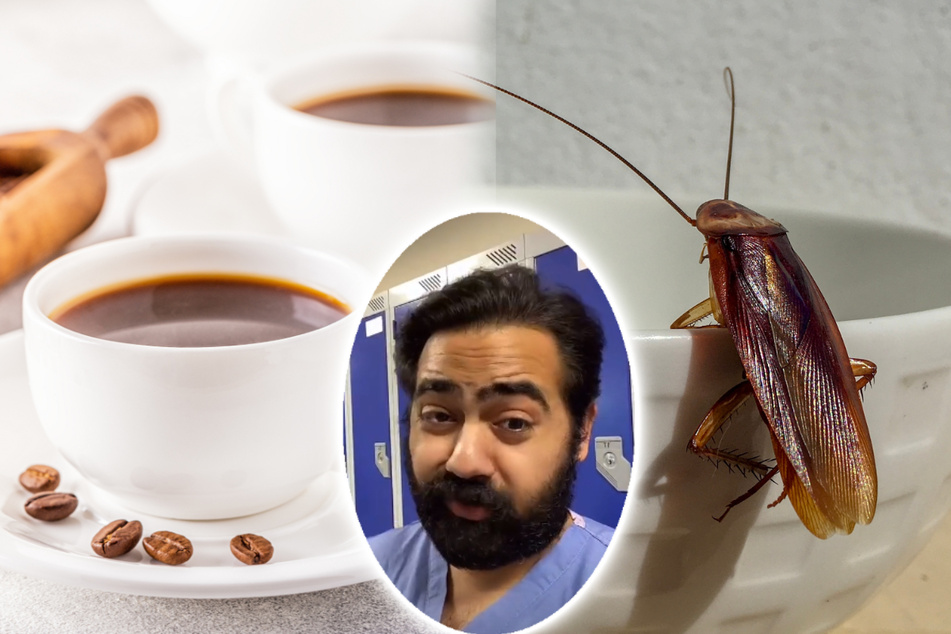 Are you drinking cockroaches with your coffee? TikTok doctor spills the beans on industry secret