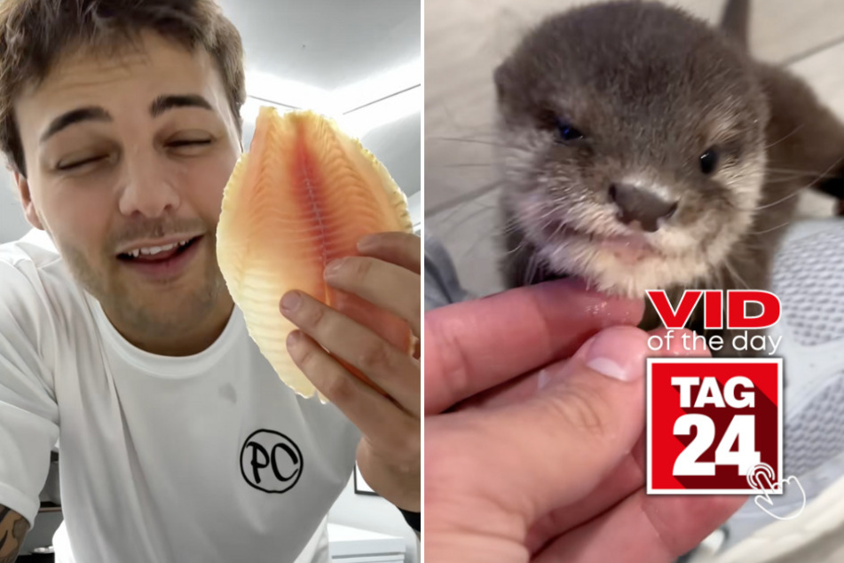 Viral Video of the Day for December 31, 2025: Baby otter tries fish for first time in adorable TikTok!