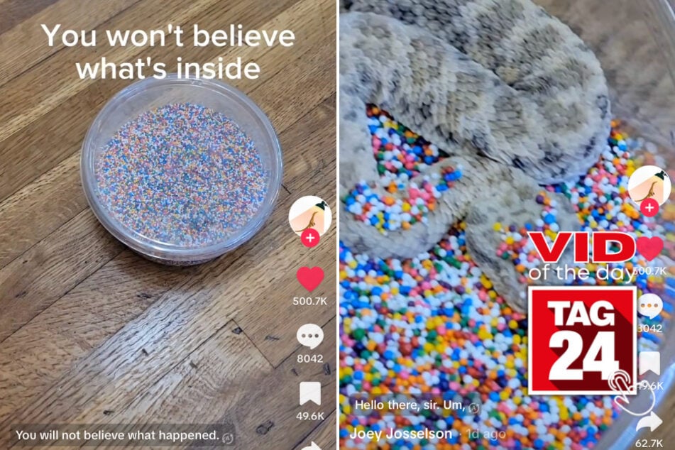 Viral Video of the Day for July 26, 2023: TikToker's sprinkle snake surprise!
