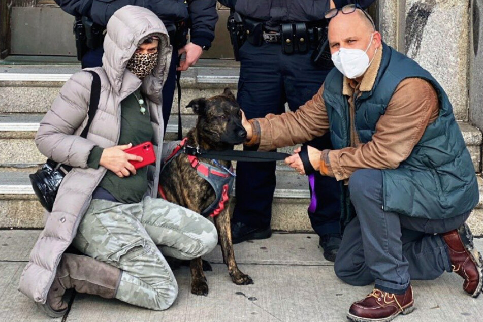 Happy ending: Jason Novetsky and Karen Dublin were reunited with Georgia.
