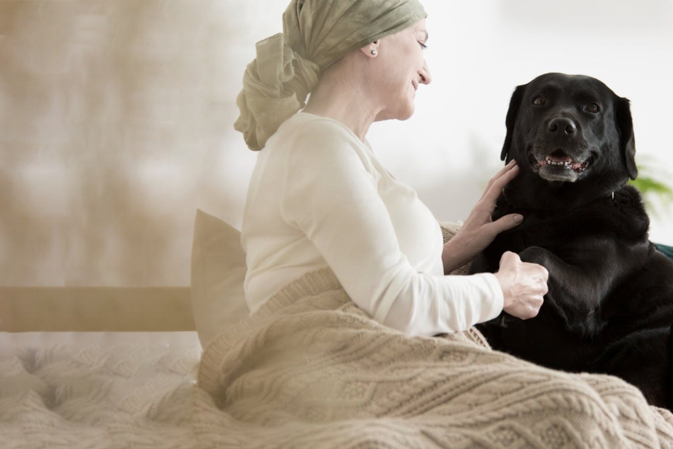 Best therapy dogs: Soothe your anxiety and depression with these breeds