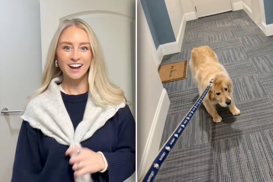 What's wrong with this little dog?