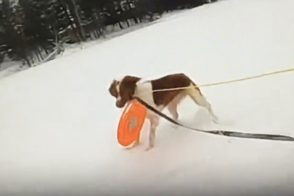 A dog named Ruby helped rescue her owner who had fallen through the ice of a frozen lake.