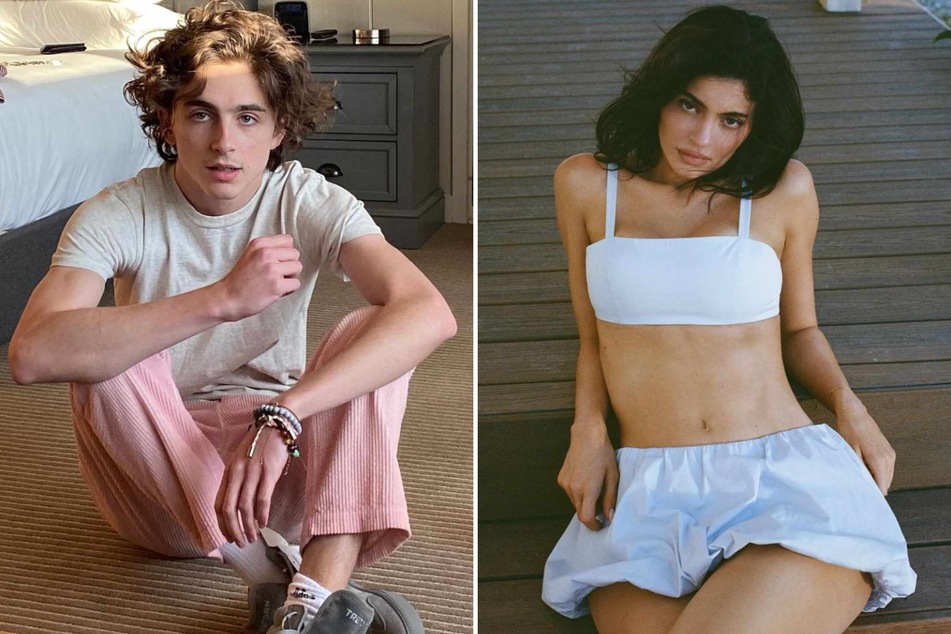 Kylie Jenner and Timothée Chalamet's current relationship status revealed!