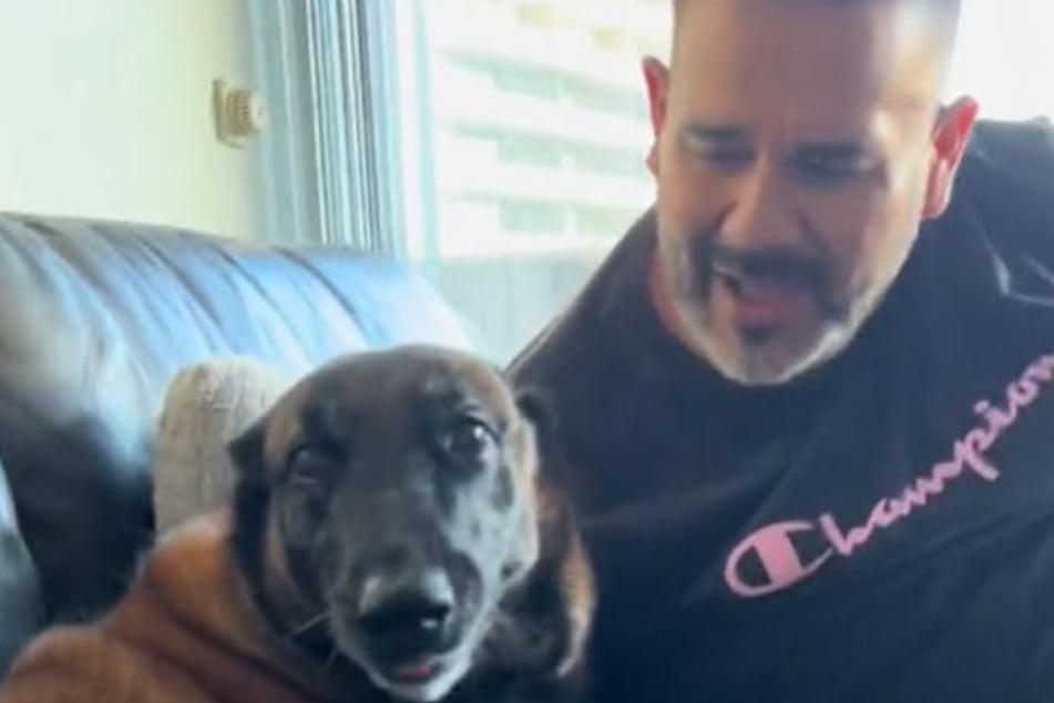 Indy's owner was quick to forgive her for her sandwich-stealing.
