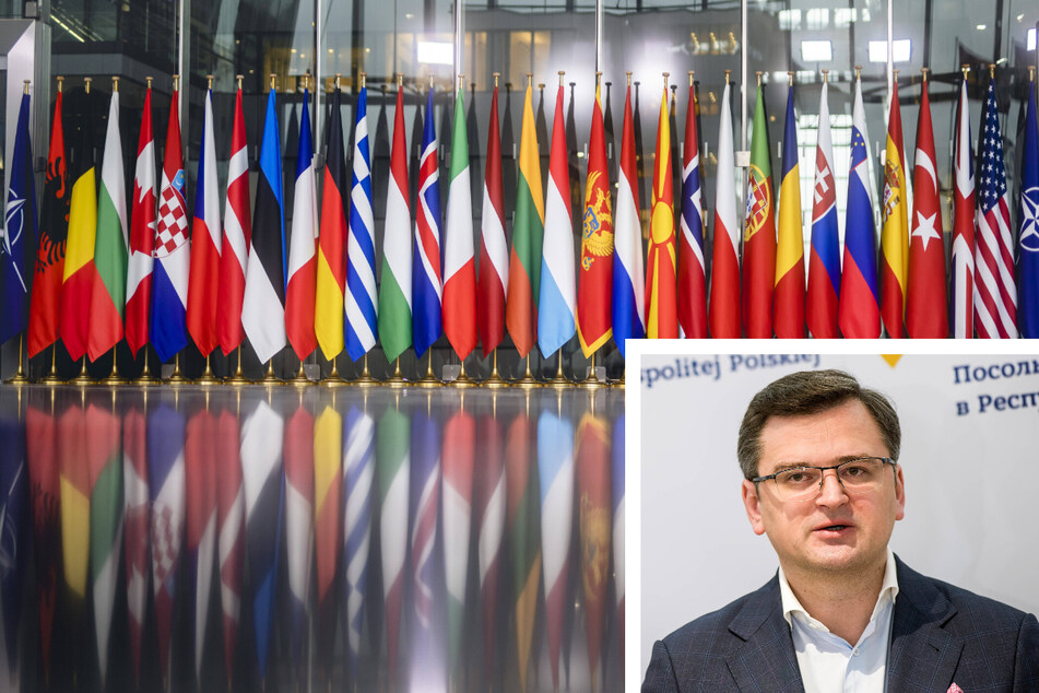 "Weapons, weapons, weapons": Ukraine pleads for more NATO help
