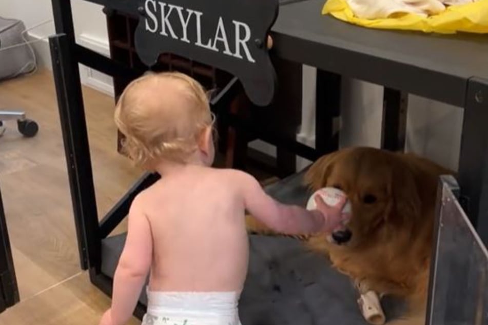 Baby Shalom didn't let Skylar's closed door stop him.