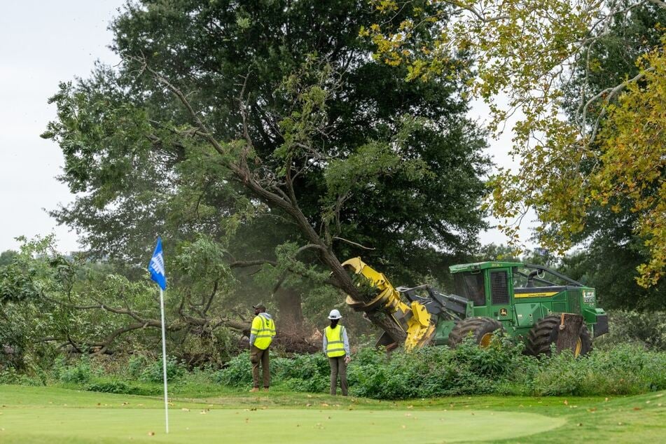 Crews cut down trees on East Potomac Golf Course on October 10, 2026, in Washington DC. A judge on Monday issued an emergency order halting further tree cutting at the golf course after backlash. 
