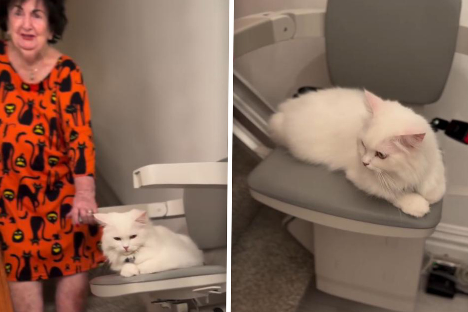 Mama Lu has to climb stairs, while Angel is allowed to take the elevator.