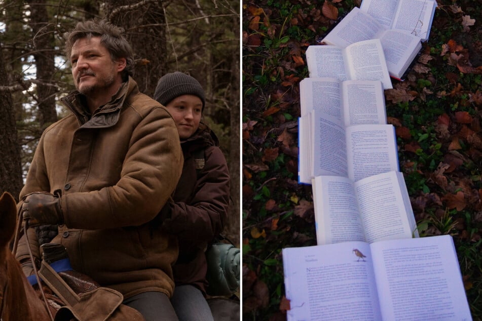 The best book recommendations for fans of The Last of Us