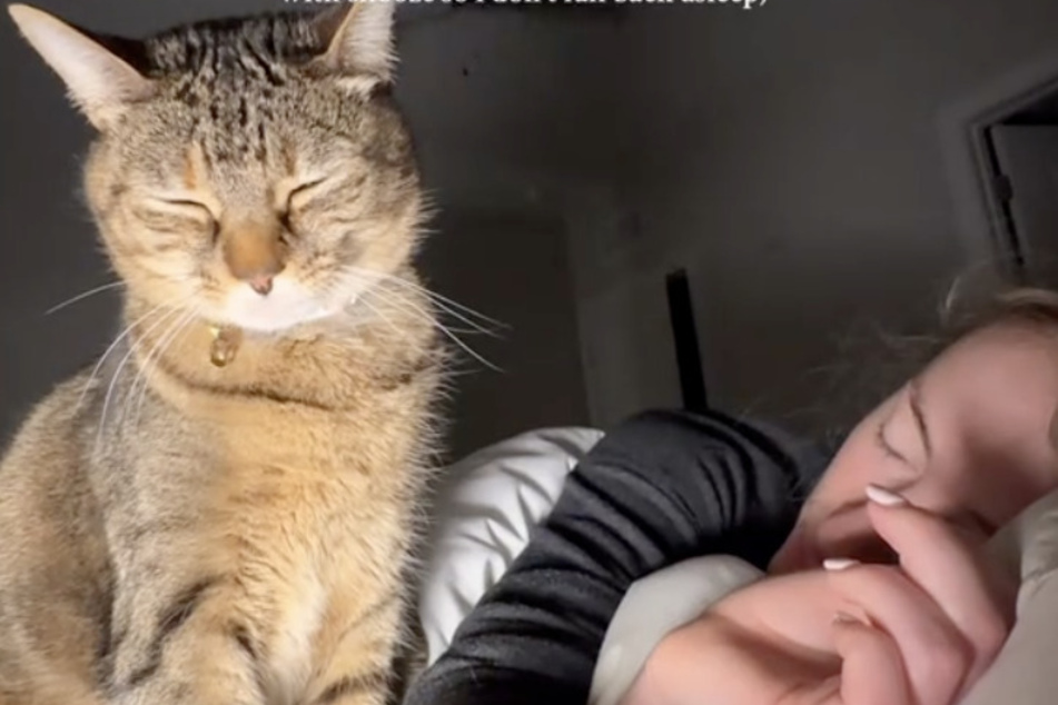 Cat owner Ashley Moffit just wanted to get a few more minutes of shuteye, but kitty Maisy was having none of it, as a viral TikTok shows.