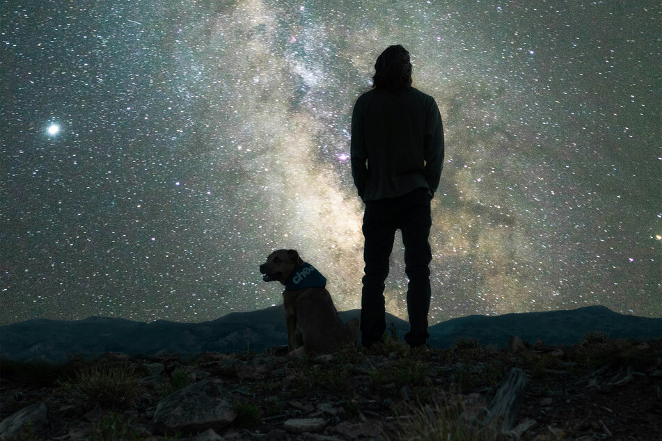 There's something extraordinary about how devoted dogs are to humanity.