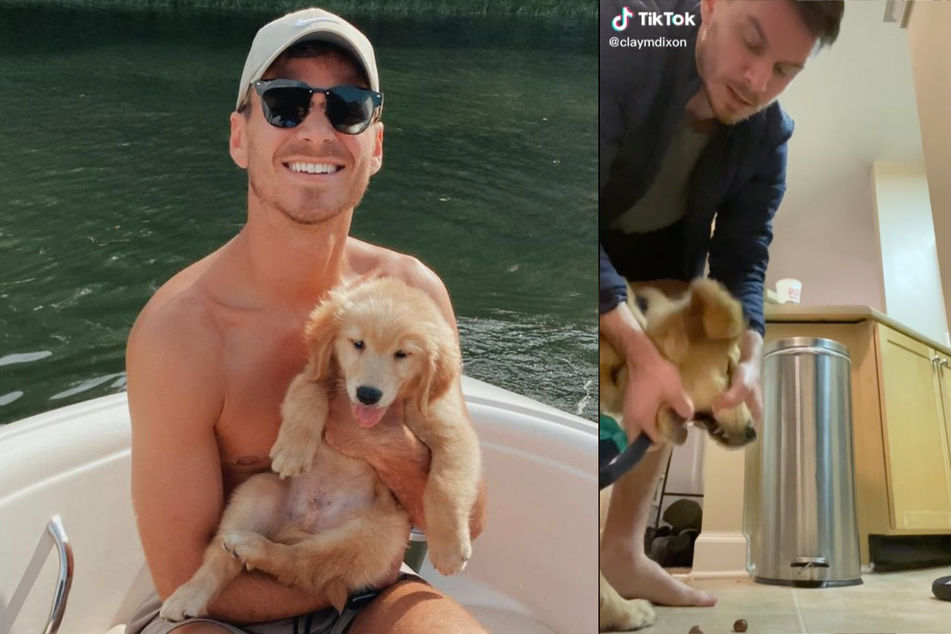 Hoarding hound: TikTok user catches dog trying to smuggle in something unexpected