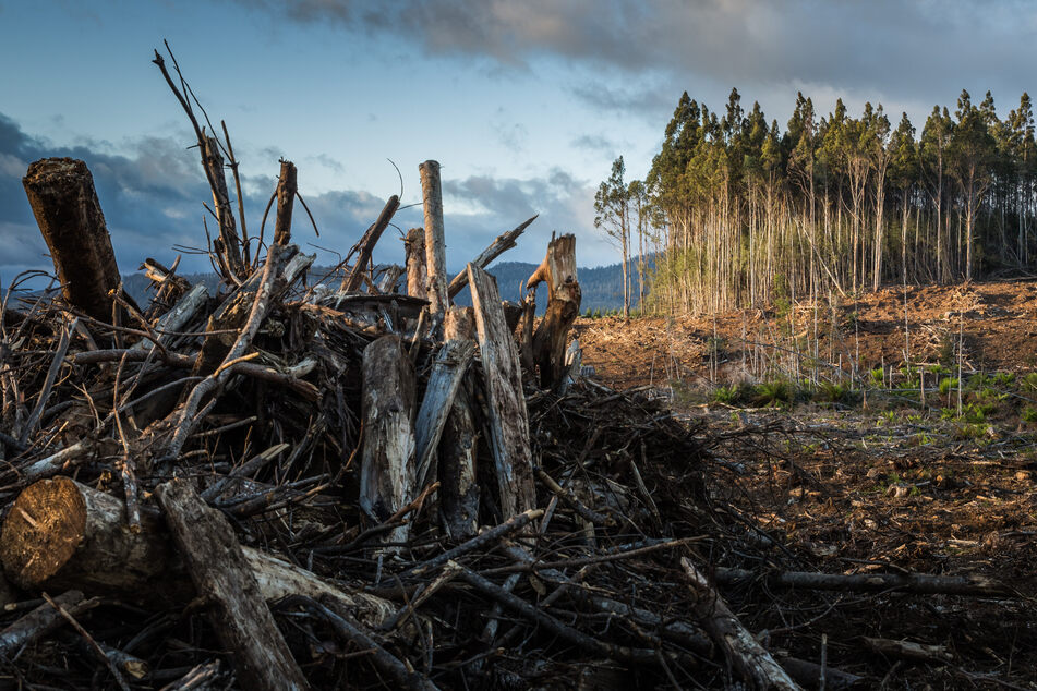 Extreme heat, air pollution, and the increasing spread of deadly infectious diseases are just some of the reasons why climate change has emerged as a major health threat.