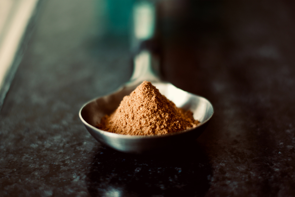 Garlic powder is extremely dangerous for dogs.
