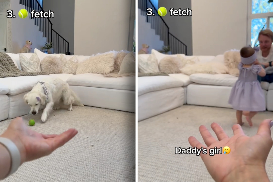 It all came down to the third test: a game of fetch.