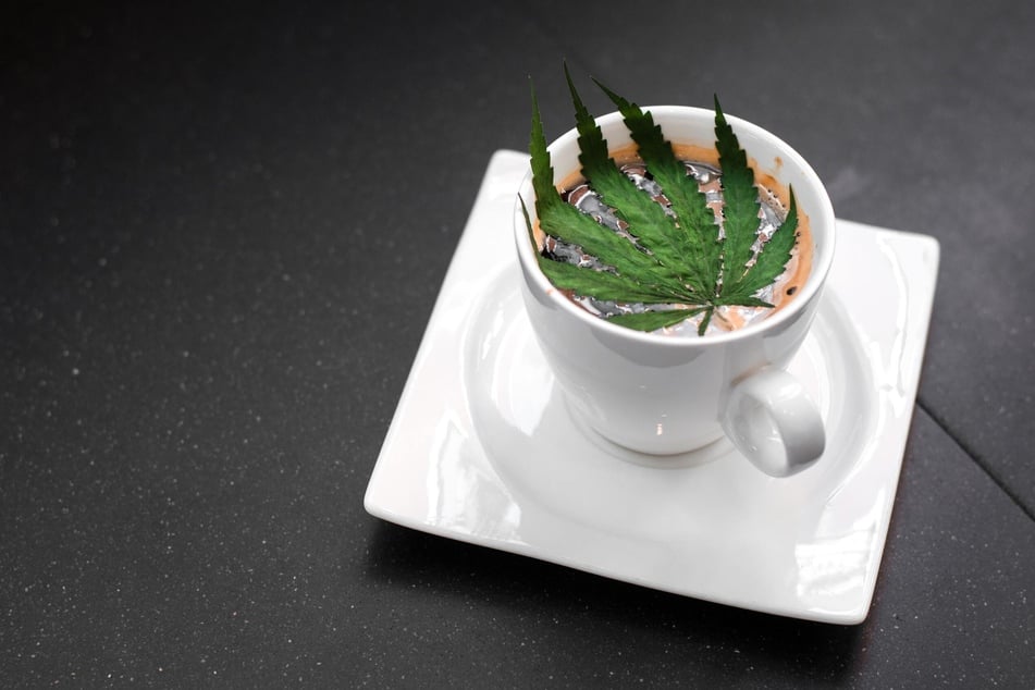A new bill in California could change the landscape of cannabis use in the state if passed. (Stock photo)