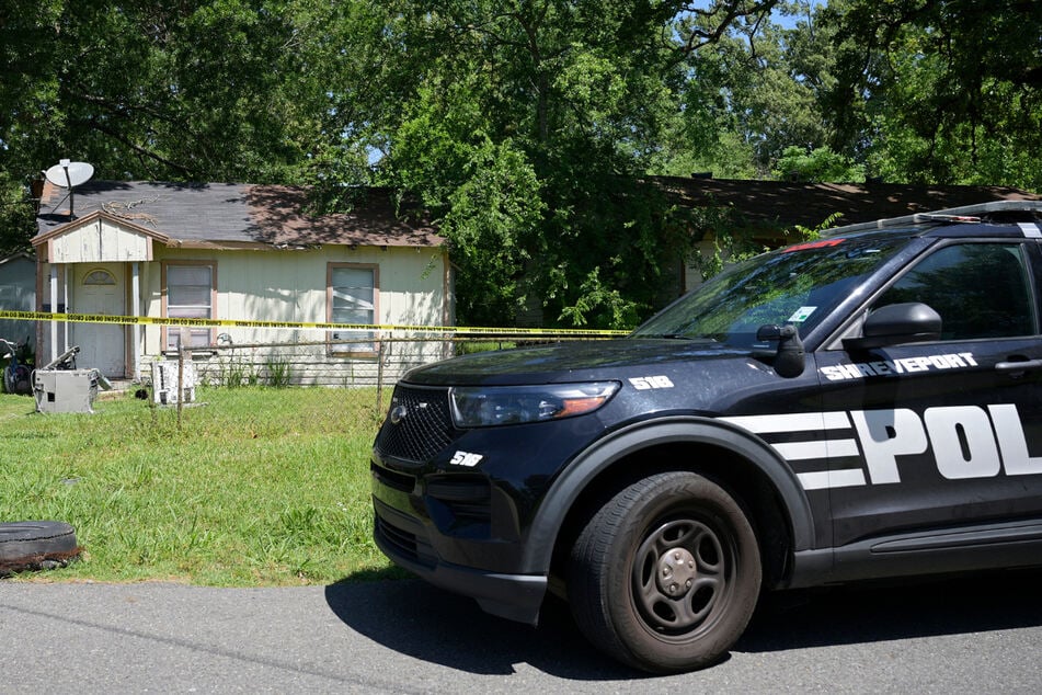 The police found 17 dead cats during their investigation. (stock photo)