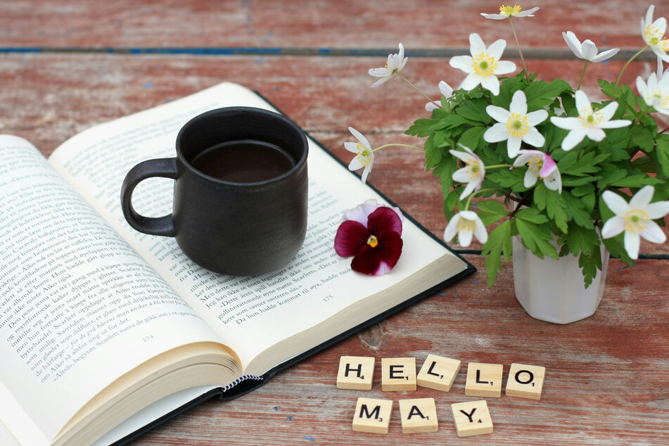 Book Release Radar: Most anticipated reads of May 2025