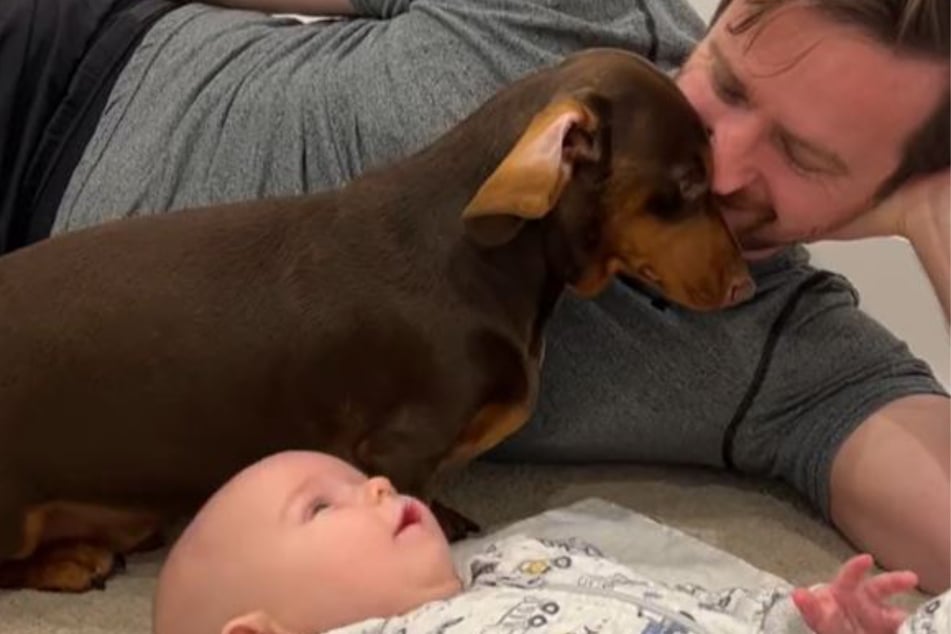 Some viewers feel sorry for Cooper the dog, suspecting that he might be very sad because he is no longer number one with his owners.