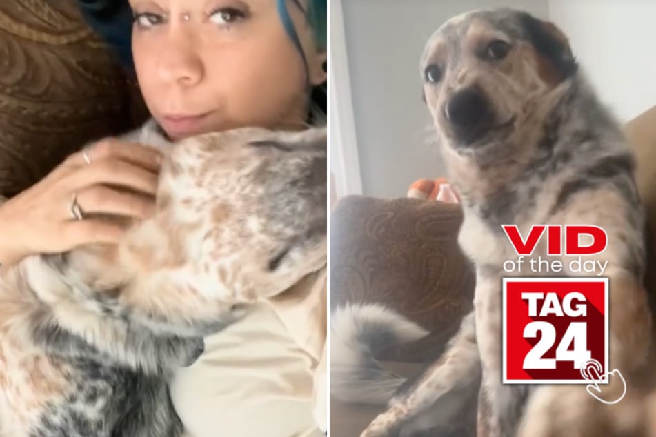 Viral Video of the Day for July 23, 2024: Pup snarls after mom says "I don't wanna pet you"