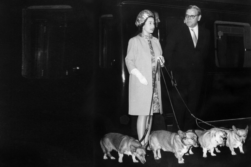 Queen Elizabeth II's death leaves corgi community heartbroken