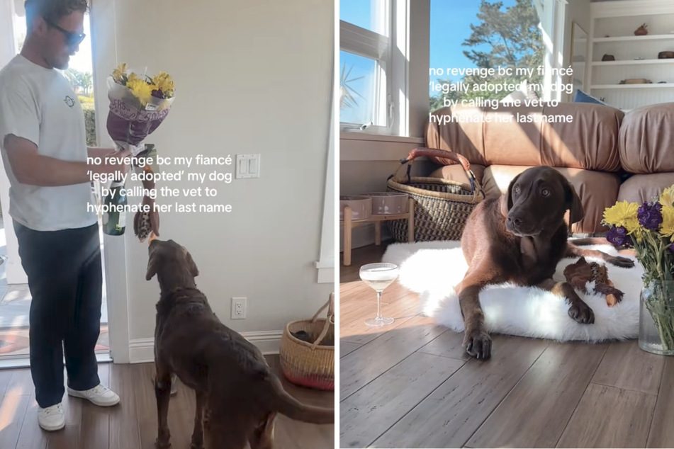 Woman's fiancé gets her dog's last name hyphenated in sweet clip: "His labradaughter"