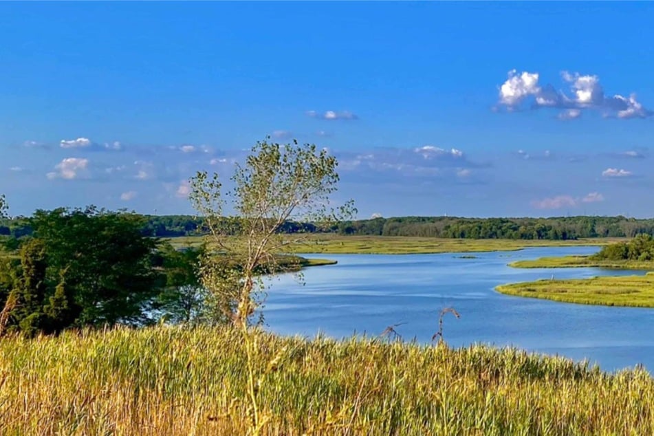 New York City sees the world's largest dump become a Staten Island park