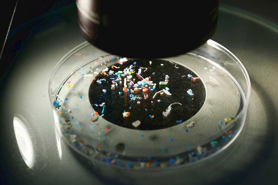 Microplastics are definitely in our food, study finds