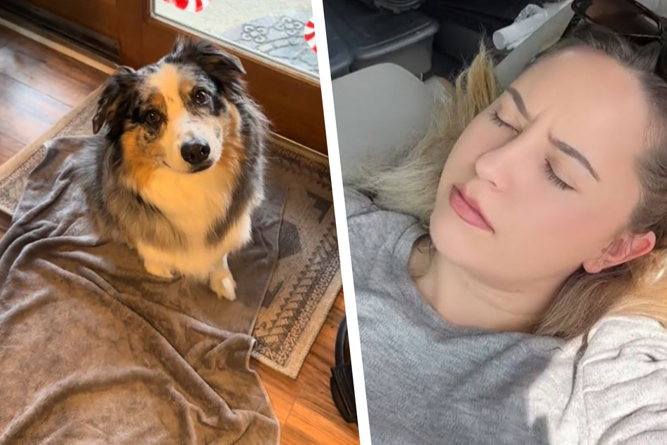 Dog "nurse" comes to his sick owner's rescue in the cutest way!