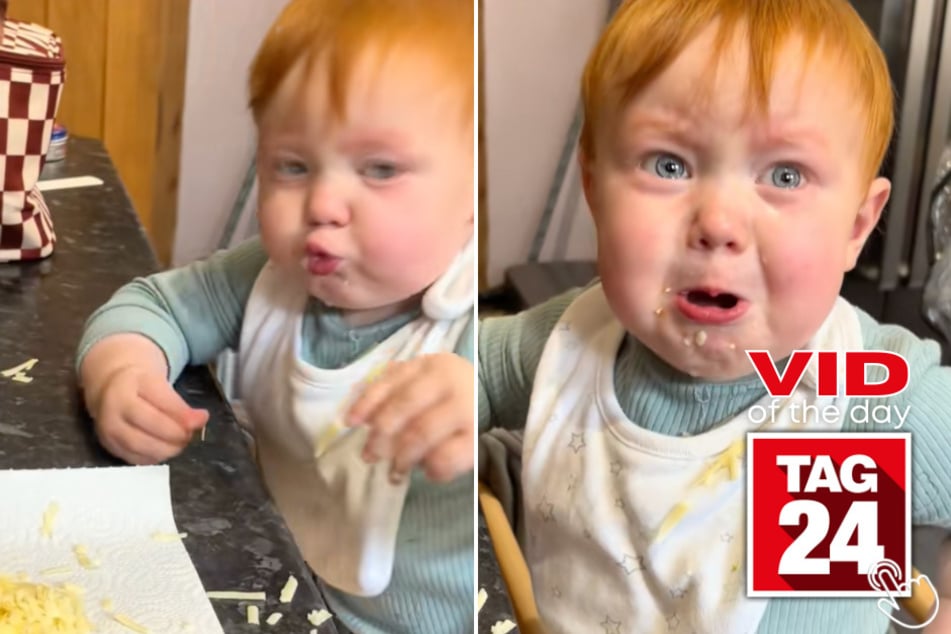 This toddler's love for shredded cheese is both hilarious and deeply relatable!