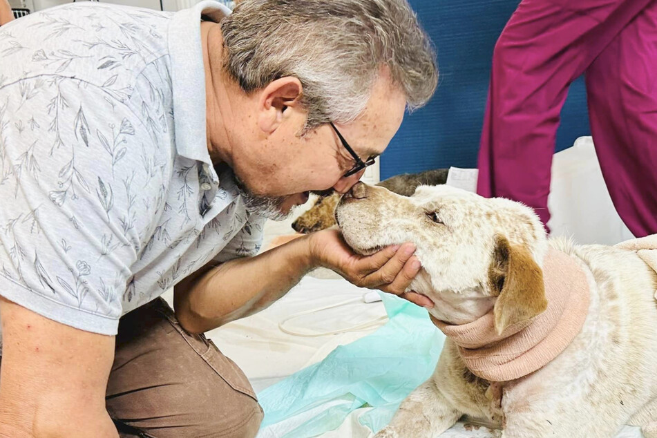 Dog and master reunited! Pancho survived the complicated operation and can now be petted endlessly by his loving owners.