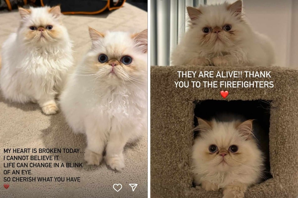 Cara Delevingne's (l.) Los Angeles home was gutted in a huge fire Friday, in a blaze that left the multimillion-dollar house a smoldering ruin. The actor-model was not at the sprawling pad in the plush Studio City area, but there were two people – and Delevingne's cats – at home at the time.