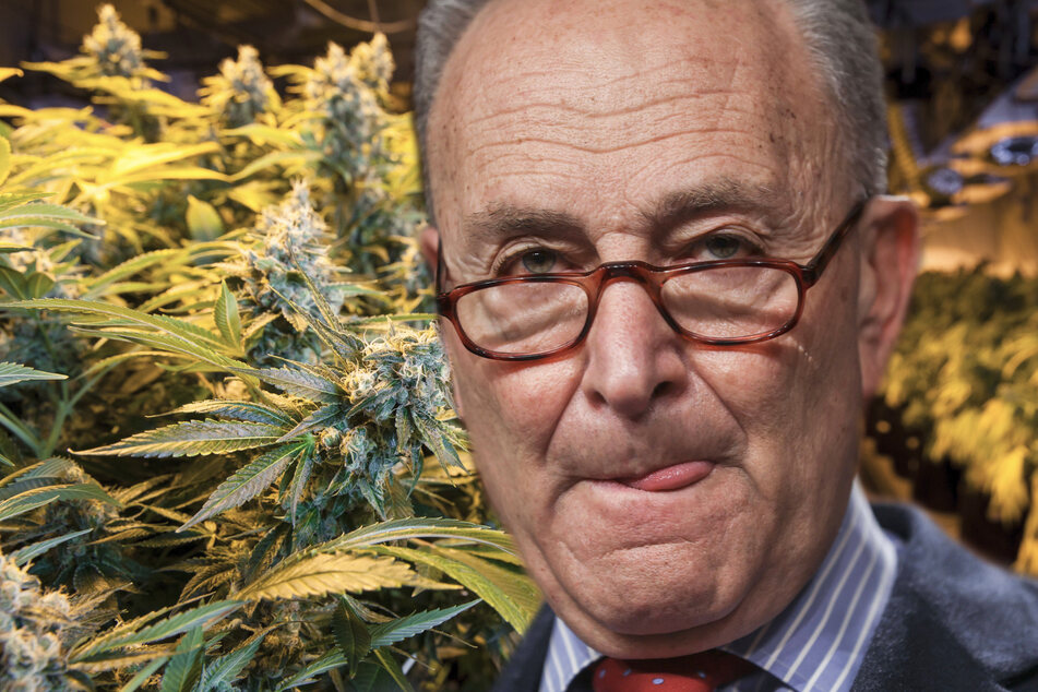 Senate Majority Leader Chuck Schumer speaks out on marijuana legalization