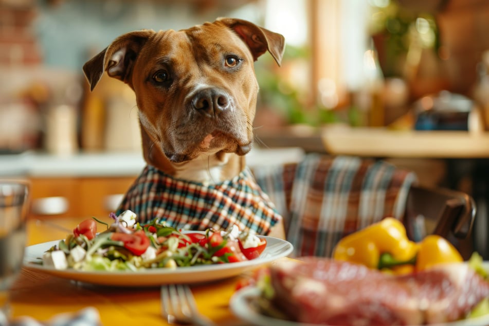When it comes to food, some dogs get very inventive. (Stock image.)