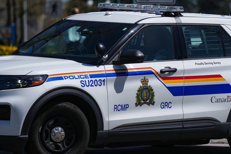 Police officer fired after ramming vehicle into runaway cow