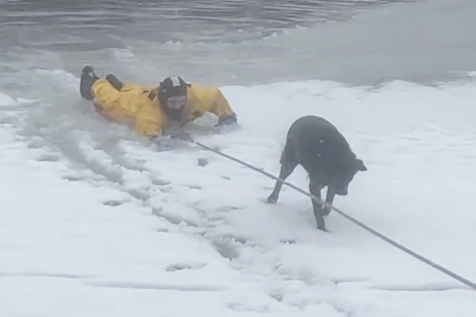 Bob the dog was able to return to his owners after the rescue operation.