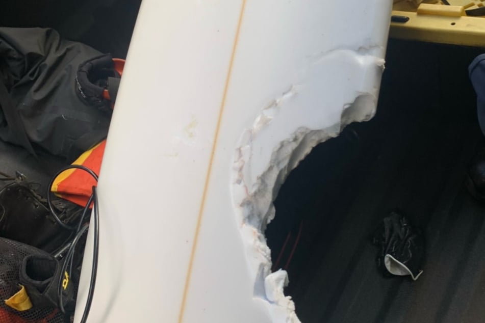 Terror on the waves: surfer slain in savage shark attack